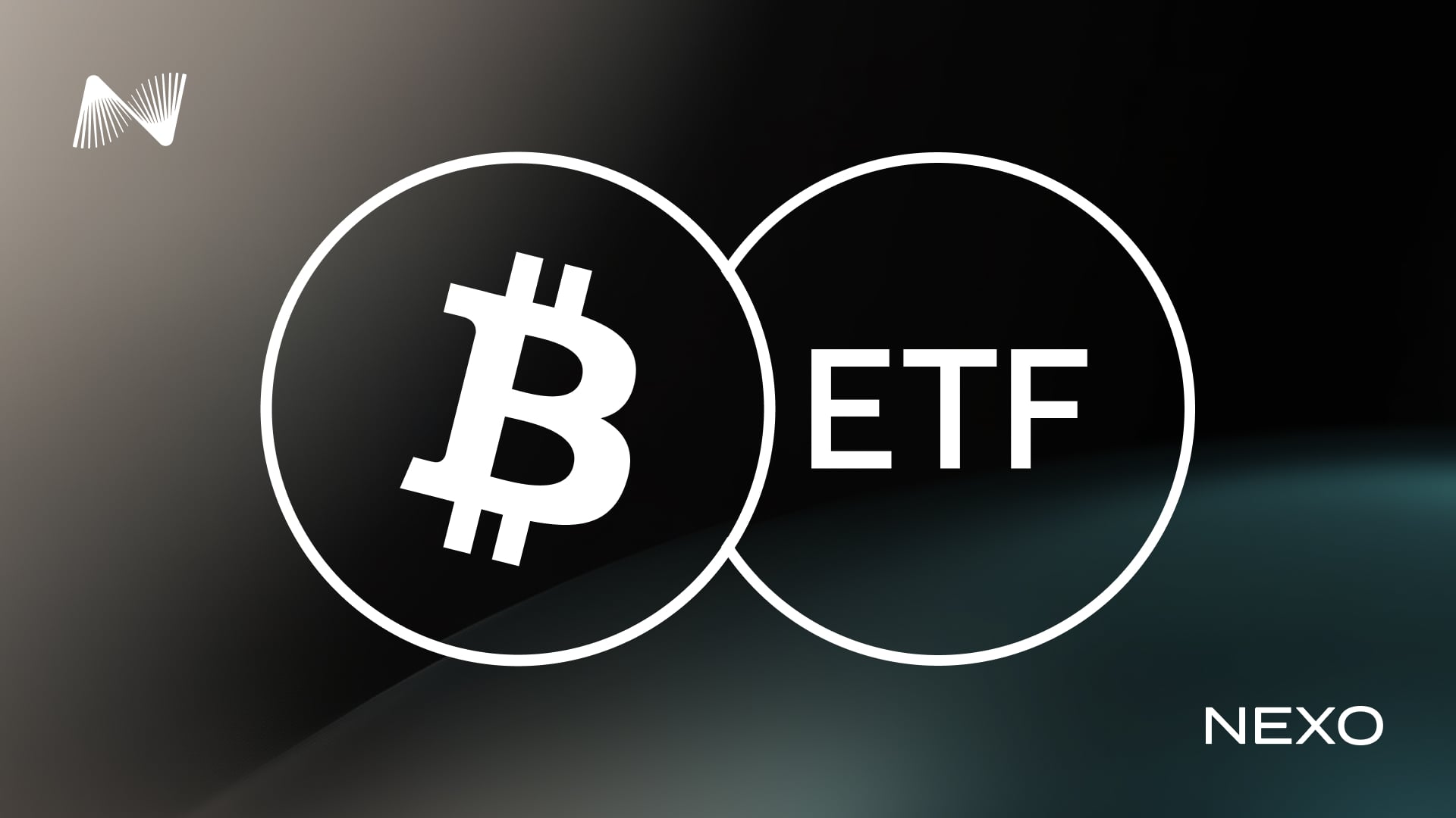 Bitcoin ETF 2026: Top Spot Funds and Market Trends